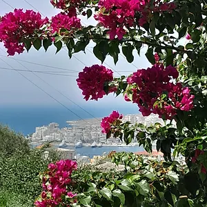 Luxury Dennis Sarandë